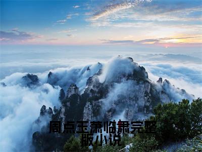 天作之合！富商女和权臣结婚了是什么小说，天作之合！富商女和权臣结婚了（ 周点玉萧临肃）完整章节在线阅读