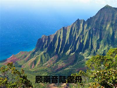 顾南音陆霆舟全文免费阅读-陆霆舟顾南音小说（顾南音陆霆舟）免费阅读全文