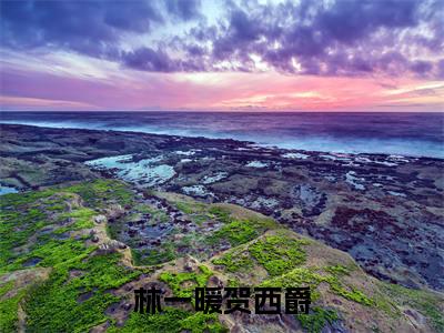 林一暖贺西爵（贺西爵林一暖）全文免费阅读无弹窗完整版，(林一暖贺西爵)免费阅读全文最新章节列表_笔趣阁