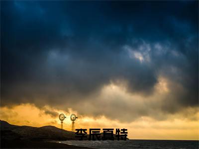 流落荒岛后，我教女神求生（ 李辰真特）全文免费阅读_流落荒岛后，我教女神求生最新章节小说免费阅读_笔趣阁