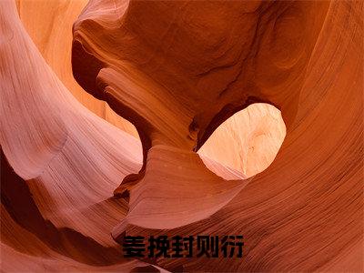 姜挽封则衍（姜挽封则衍）小说全文免费阅读大结局-姜挽封则衍免费阅读无弹窗大结局