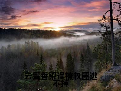 云鬓香染误撩权臣逃不掉小说（姜莞宁萧铎）全文免费阅读-云鬓香染误撩权臣逃不掉全文阅读无弹窗