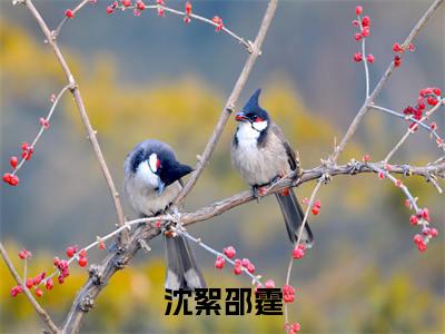 沈絮邵霆沈絮邵霆最新章节免费阅读 沈絮邵霆小说最新章节