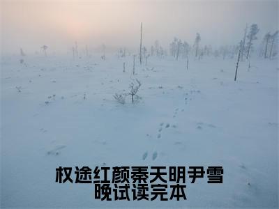  秦天明尹雪晚（权途红颜秦天明尹雪晚试读完本）未删减- 秦天明尹雪晚完结版阅读地址