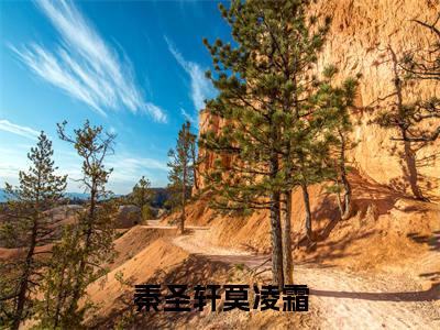 秦圣轩莫凌霜（莫凌霜秦圣轩）全文免费阅读_（秦圣轩莫凌霜）免费阅读无弹窗最新章节列表