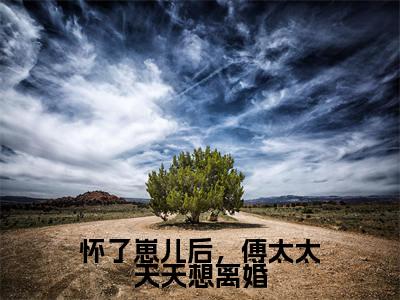 傅远之南慕（怀了崽儿后，傅太太天天想离婚）全文免费阅读无弹窗-怀了崽儿后，傅太太天天想离婚完整版全文在线赏析