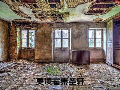 小说莫凌霜秦圣轩全文免费阅读 莫凌霜秦圣轩小说全文在线赏析_笔趣阁