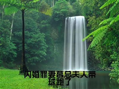 温尔晚慕言深是哪部小说的主角，闪婚罪妻慕总夫人带球跑了免费阅读全文大结局