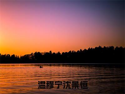 热文沈景恒温穆宁在线免费读-温穆宁沈景恒的小说（沈景恒温穆宁）完整版免费读全文