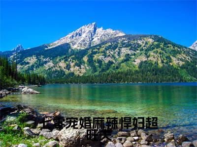 七零宠婚麻辣悍妇超旺夫（刘婧赵轩）全文免费阅读无弹窗大结局_七零宠婚麻辣悍妇超旺夫最新章节列表_笔趣阁（刘婧赵轩）