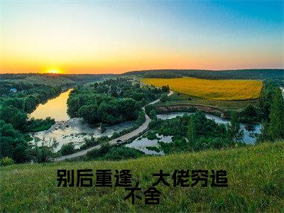 陆景琛秦如烟是什么小说-别后重逢，大佬穷追不舍小说陆景琛秦如烟全文阅读