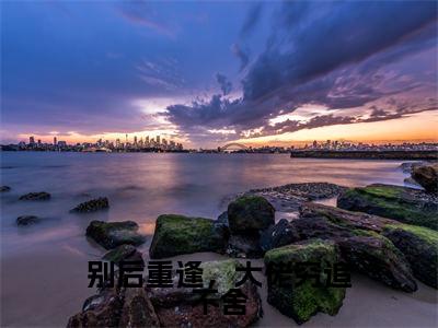 （陆景琛秦如烟）别后重逢，大佬穷追不舍小说小说免费陆景琛秦如烟读无弹窗最新章节列表_笔趣阁（别后重逢，大佬穷追不舍）