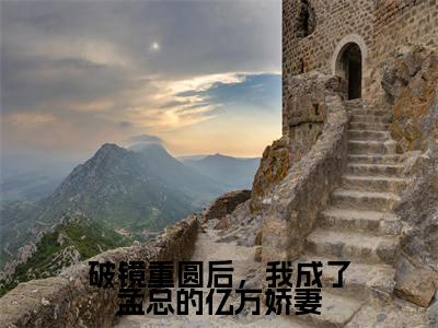 破镜重圆后，我成了孟总的亿万娇妻全文全章节免费阅读-宋语嫣孟南城 全文免费阅读无弹窗大结局