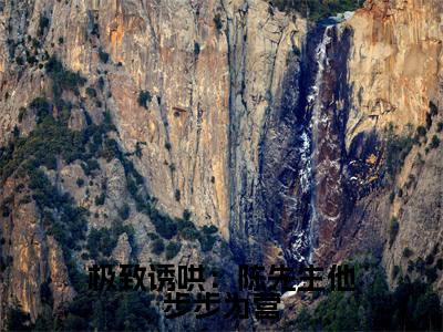 极致诱哄：陈先生他步步为营（陈卿秦湄最新章节）在线阅读-免费小说极致诱哄：陈先生他步步为营全文阅读