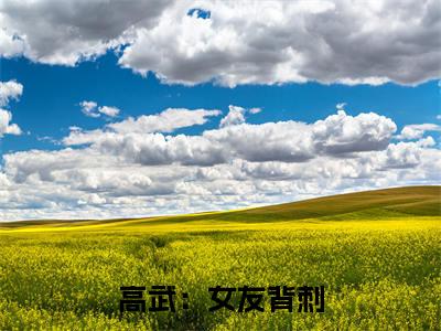  苏清黄毛快手小说（高武：女友背刺，获得逆天功法）txt阅读大结局-抖音近期热门 苏清黄毛全文免费