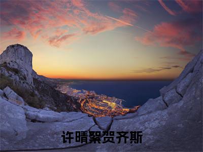主角是贺齐斯许晴絮的小说-许晴絮贺齐斯全文无弹窗免费阅读