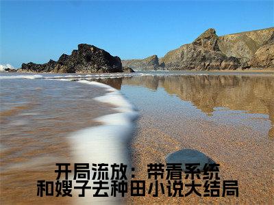  燕云舒心无弹窗（开局流放：带着系统和嫂子去种田）全文免费阅读无弹窗大结局_（ 燕云舒心无弹窗）开局流放：带着系统和嫂子去种田无弹窗最新章节列表