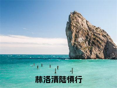 林洛清陆慎行（陆慎行林洛清）全文免费阅读无弹窗大结局_林洛清陆慎行小说免费最新章节列表_笔趣阁