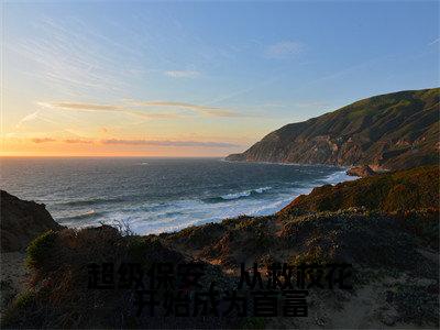 超级保安，从救校花开始成为首富小说最新章节在线阅读_超级保安，从救校花开始成为首富在线阅读