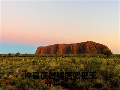 冲喜夜替嫁医妃把王爷毒醒了（慕晚吟萧惊寒小说）全文免费阅读无弹窗大结局_冲喜夜替嫁医妃把王爷毒醒了小说慕晚吟萧惊寒列表