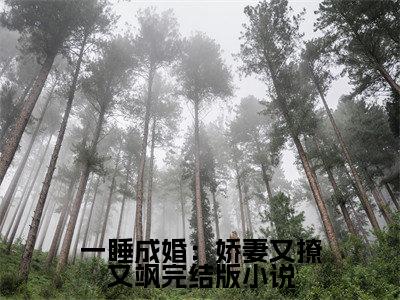  阮玉糖赵西雅小说免费阅读无弹窗大结局,一睡成婚：娇妻又撩又飒最新章节列表