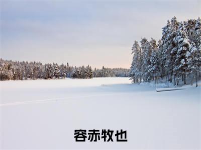 容赤牧也（牧也容赤）是什么小说-（牧也容赤）无弹窗免费阅读大结局最新章节列表_笔趣阁