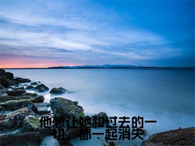 他想让她和过去的一切，都一起消失全文免费阅读无弹窗大结局_（他想让她和过去的一切，都一起消失小说）桑雉凤祁在线免费阅读
