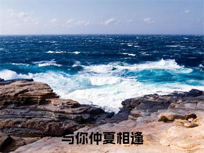 程姩陆司城最新章节（与你仲夏相逢）全文免费阅读无弹窗大结局_与你仲夏相逢小说全文免费阅读正版无弹窗