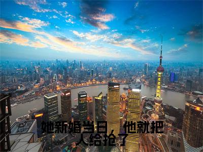 裴山姜轻雪她新婚当日，他就把人给抢了免费小说-她新婚当日，他就把人给抢了（裴山姜轻雪）已更新最新章节
