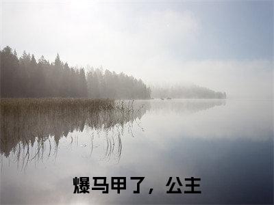 傅子荼许清岩（爆马甲了，公主）小说全文-爆马甲了，公主小说免费阅读大结局