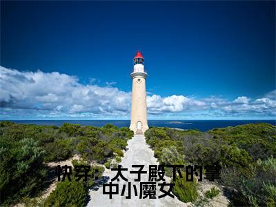 快穿：太子殿下的掌中小魔女热文小说全文阅读-精彩美文 星言江星言免费阅读