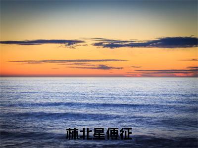 林北星傅征（林北星傅征精彩美文）免费阅读-小说林北星傅征最后结局如何