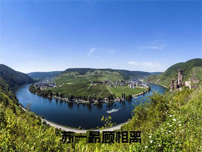 苏一昂顾相离小说全文免费阅读无弹窗,（顾相离苏一昂）小说全文免费阅读
