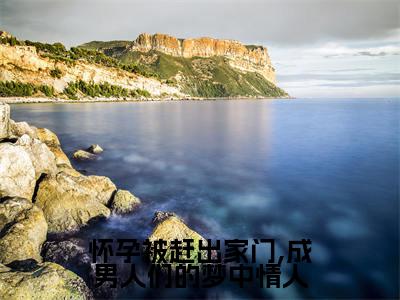 怀孕被赶出家门,成男人们的梦中情人全文免费在线阅读_（夏初浅百里深免费阅读无弹窗）怀孕被赶出家门,成男人们的梦中情人全文免费完结版阅读