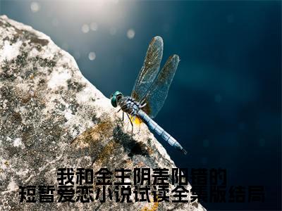 我和金主阴差阳错的短暂爱恋小说试读全集版（ 袁嘉辰雨珂）全文免费阅读无弹窗大结局_我和金主阴差阳错的短暂爱恋小说试读全集版热门小说最新章节阅读