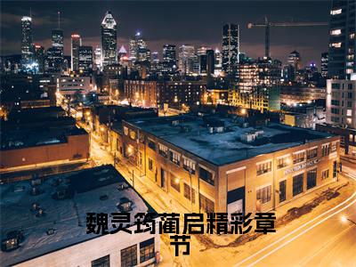 魏灵筠蔺启( 魏灵筠蔺启)全文免费阅读无弹窗_魏灵筠蔺启（ 魏灵筠蔺启）全文阅读-笔趣阁