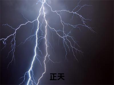 正天（ 汪正天汪正天）全文小说在线阅读-正天全章节最新阅读