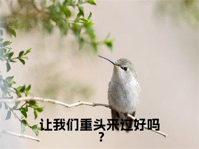 让我们重头来过好吗？（林晓慧陆北年）多人追免费无弹窗小说-主角林晓慧陆北年完整版在线阅读（让我们重头来过好吗？）