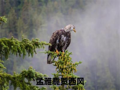 孟雅栀贺西风全集章节小说免费阅读完整版（贺西风孟雅栀）-贺西风孟雅栀小说免费阅读