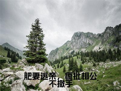 《肥妻逃亲，疯批相公不撒手》盛凌云楚夕在哪免费看-肥妻逃亲，疯批相公不撒手（盛凌云楚夕）已完结全集大结局