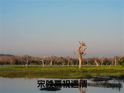 宋晚嘉祝遇清小说热门榜单免费阅读，祝遇清宋晚嘉抖音新上热文分享_笔趣阁（宋晚嘉祝遇清）