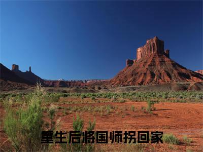 重生后将国师拐回家热门小说 夏如倾夏沐雪最新章节免费阅读-完结版全文 夏如倾夏沐雪小说在线阅读