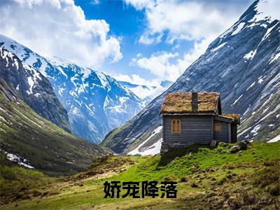 娇宠降落（牧檀辞魏宁）全文免费阅读无弹窗大结局_(娇宠降落阅读全文大结局)牧檀辞魏宁最新章节列表