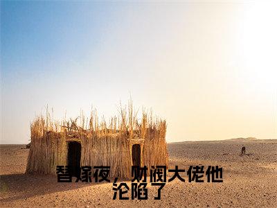 顾霆深傅暖暖全文免费阅读大结局-替嫁夜，财阀大佬他沦陷了最新章节列表笔趣阁