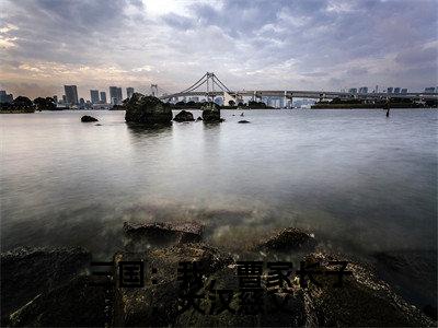 三国：我，曹家长子，大汉慈父（曹昂）最新章节在线阅读-老书虫推荐三国：我，曹家长子，大汉慈父小说