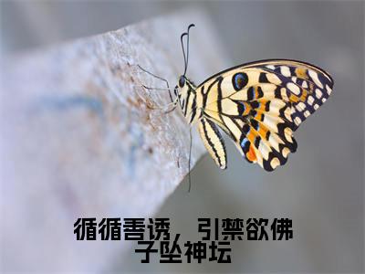 循循善诱，引禁欲佛子坠神坛（姜可画陆之战小说）全文免费阅读无弹窗大结局_姜可画陆之战完整版小说阅读