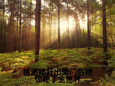 被退婚赶出豪门后她惊艳了全世界全文免费阅读_（夏轻暖卫鹤雪免费阅读无弹窗）夏轻暖卫鹤雪最新章节列表笔趣阁