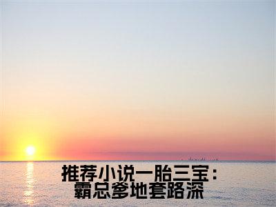 小说一胎三宝：霸总爹地套路深全文阅读无弹窗大结局_（ 时汐媛时娇娇）一胎三宝：霸总爹地套路深最新章节列表_笔趣阁