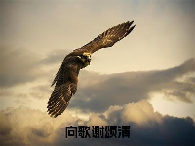 向歌谢颂清（向歌谢颂清）全文完整版免费阅读-主角叫向歌谢颂清的小说向歌谢颂清