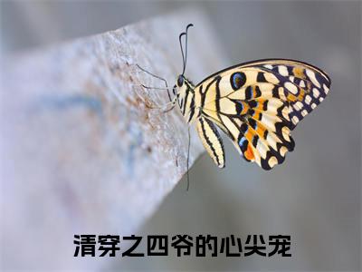 清穿之四爷的心尖宠小说（尹卿仪）全文免费阅读大结局_（清穿之四爷的心尖宠）尹卿仪小说免费阅读无弹窗